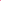 Jacheta Nasty Gal Brenda Dark Pink - kurtmann