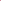 Jacheta Nasty Gal Brenda Dark Pink